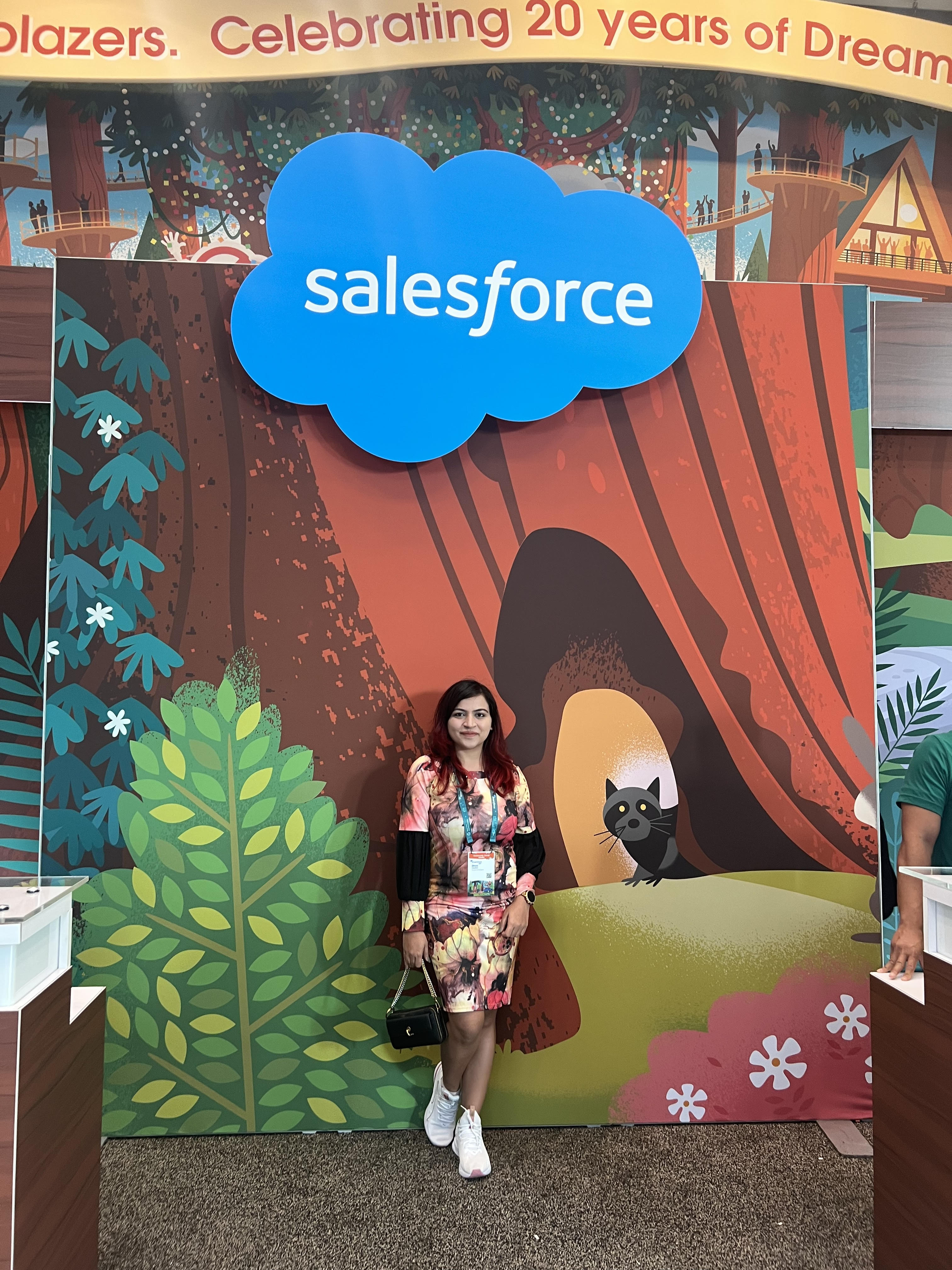 Divya Chauhan - Salesforce Solutions Architect
